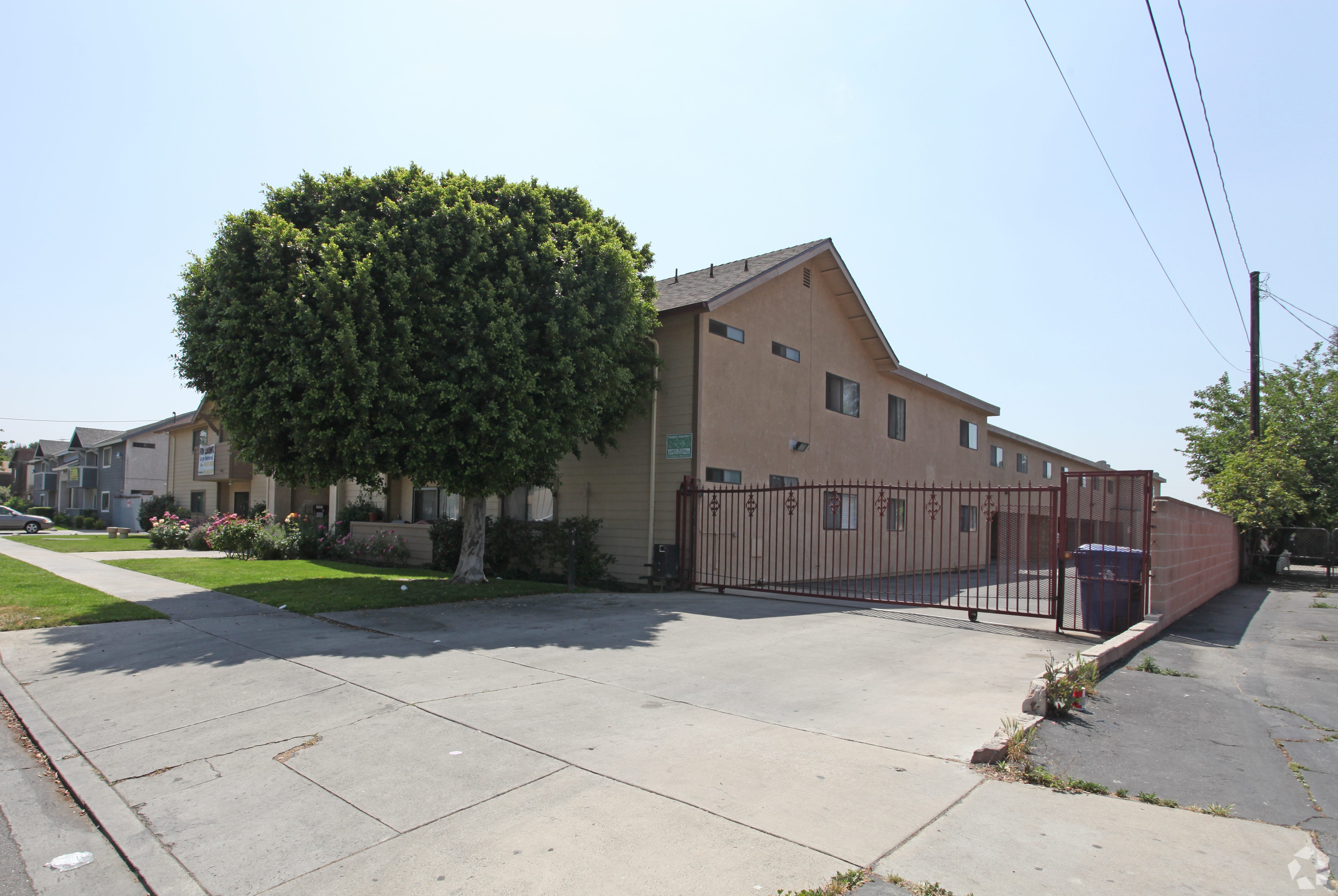 A large tree is in front of a building.